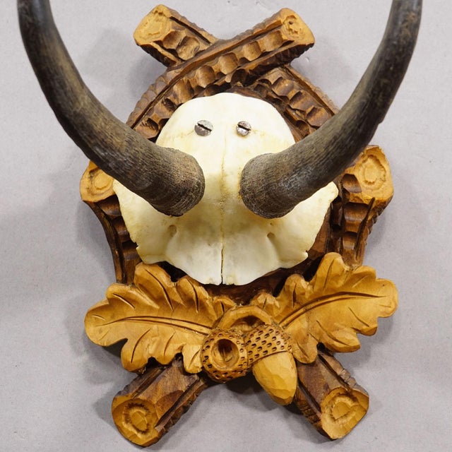 Vintage Chamois Trophy on Carved Plaque, Germany 1950s For Sale - Image 4 of 5