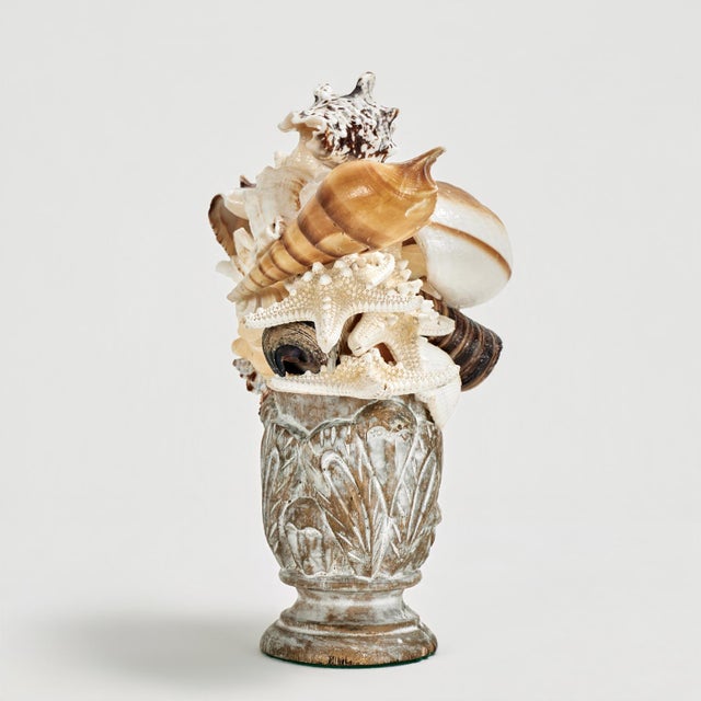 Pair of Seashell Sculptures on Wood Bases For Sale - Image 9 of 13