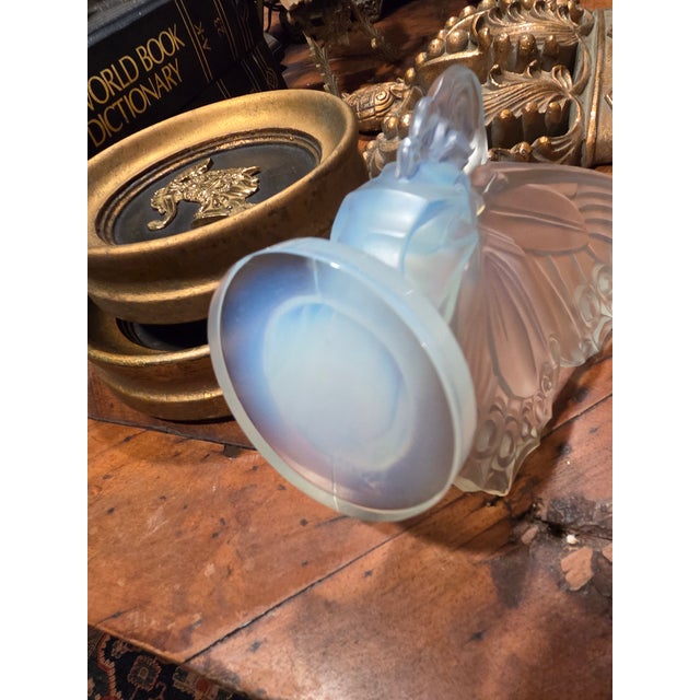 Sabino Opalescent Butterfly With Open Wings For Sale - Image 4 of 7