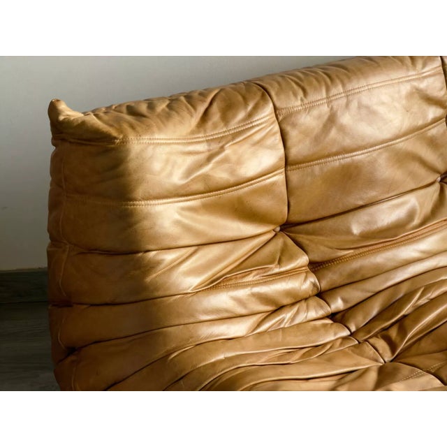 Togo 2-Seater Sofa Ligne Roset For Sale - Image 11 of 13