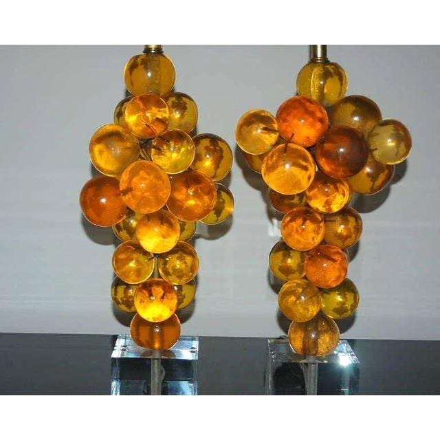 1960s Vintage Butterscotch Resin Lamps by Silvano Pantani 1966 For Sale - Image 5 of 9
