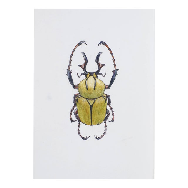 Juris Utans, Yellow Stinger Beetle, 2021, Mixed Media on Paper For Sale