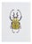 Juris Utans, Yellow Stinger Beetle, 2021, Mixed Media on Paper For Sale