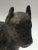 Metal 1930s Art Deco Period Bronze English Bull Terrier Sculpture For Sale - Image 7 of 12