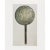 A rare photogravure of Circular Steel Mirror With Fine Gold Inlays Set On A Long Handle. The main scene on the reverse...