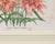 Set of Nine Botanical Lithograph Prints After Louis Van Houtte For Sale - Image 4 of 18