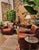 Pair of French Leather Club Chairs For Sale - Image 13 of 14