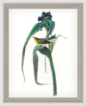 Audubon 3, Framed Artwork