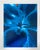 Jeffrey Rothstein, Flora Fauna Series Vintage Color Photograph Abstract Flower Fuji Crystal Photo, c.1998 For Sale - Image 4 of 5