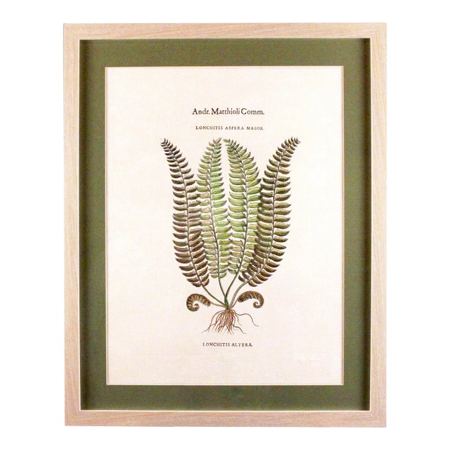 Original Vintage Botanical Fern Print with Maker's Stamp For Sale