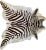 Zebra Print Natural Brazilian Cowhide 70" X 85" For Sale - Image 4 of 5