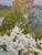 Oil Painting - Flowering Fruit Trees by a River For Sale In New York - Image 6 of 10