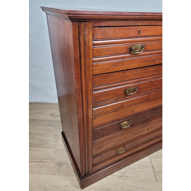 Edwardian Chest of Drawers in Walnut, 1910s For Sale - Image 9 of 18
