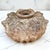 Taupe Pre-Colombian Handcrafted Perpetual Head Vase For Sale - Image 8 of 9