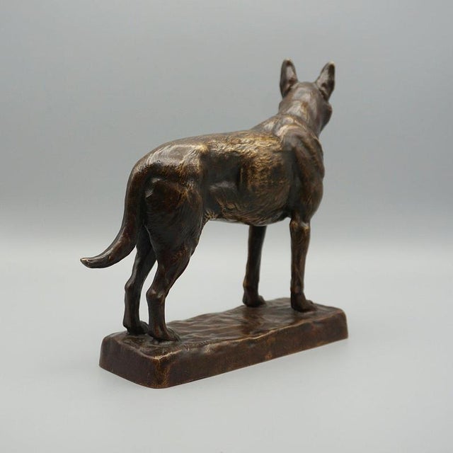 Amédéé Charles Loyseau, German Shepard, 1890s, Bronze For Sale - Image 6 of 12