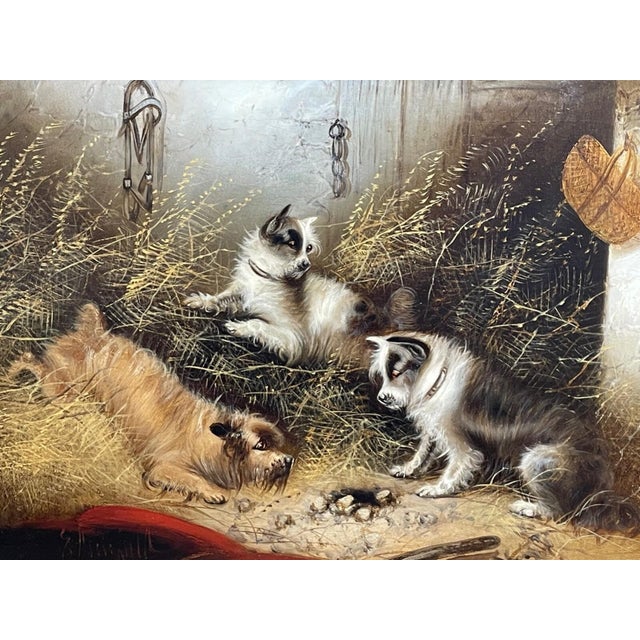 **Edward Armfield 19th Century A Sharp Lookout Terriers Ratting Oil Painting** Signed British sporting and animal oil...