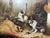 **Edward Armfield 19th Century A Sharp Lookout Terriers Ratting Oil Painting** Signed British sporting and animal oil...