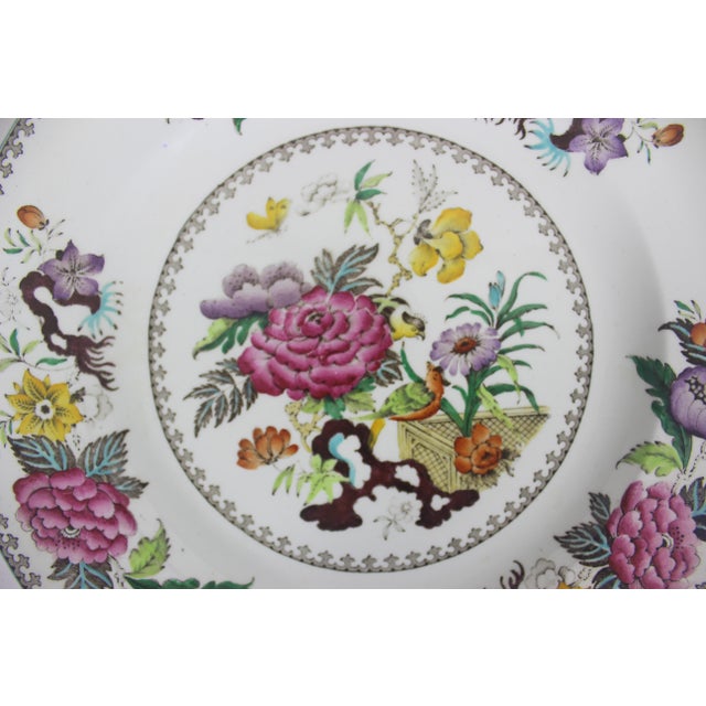 Ceramic 1880’s Antique Wedgwood Bullfinch Brown Dinner Plate With Blue Edge 10.25” Plate For Sale - Image 7 of 7