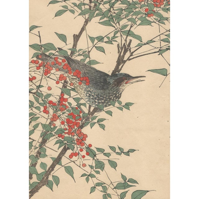 A wonderful large woodblock print from 1892 by imao keinen (今尾 景年), representing a brown-eared bulbul (ヒヨドリ) among nandina...