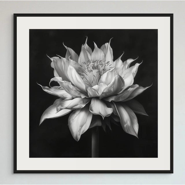20" X 20" - 'Queen of the Night Flower' - Black and White Photography Print For Sale - Image 4 of 5