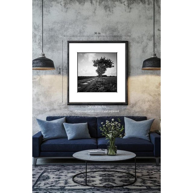 Paul Cooklin, Puddles, Occold Farm, Suffolk, Edition of 50 For Sale - Image 4 of 4
