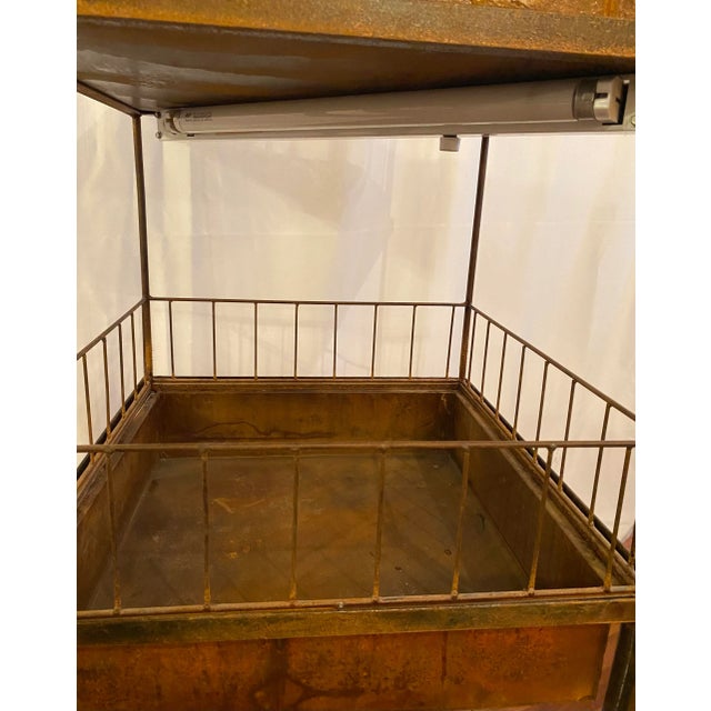 Antique Victorian Wrought Iron Wardian Terrarium Plant Case Stand For Sale - Image 12 of 13