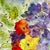 Framed Original Watercolor Painting “Iceland Poppies and Sweet Peas” For Sale - Image 4 of 12