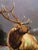 Impressionist Dave Merrill "Call From the Mist" Original Oil Hand Signed Elk For Sale - Image 3 of 6