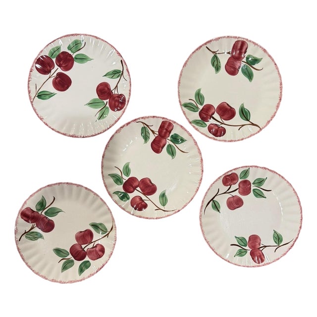 1950s Blue Ridge Apple Dinner Plates Set of 5 For Sale