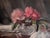 Realism Cut Glass III by Marsha Whitesides Piper | Oil on Linen Panel Still life with flowers and a cup For Sale - Image 3 of 4