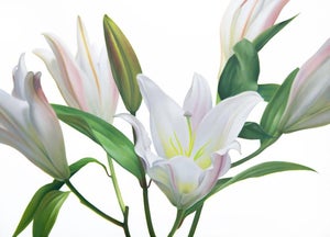 White Beauties - Oil on Canvas - Large Modern Floral