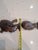 Mid 20th Century Wood Sculptures For Sale - Image 9 of 11