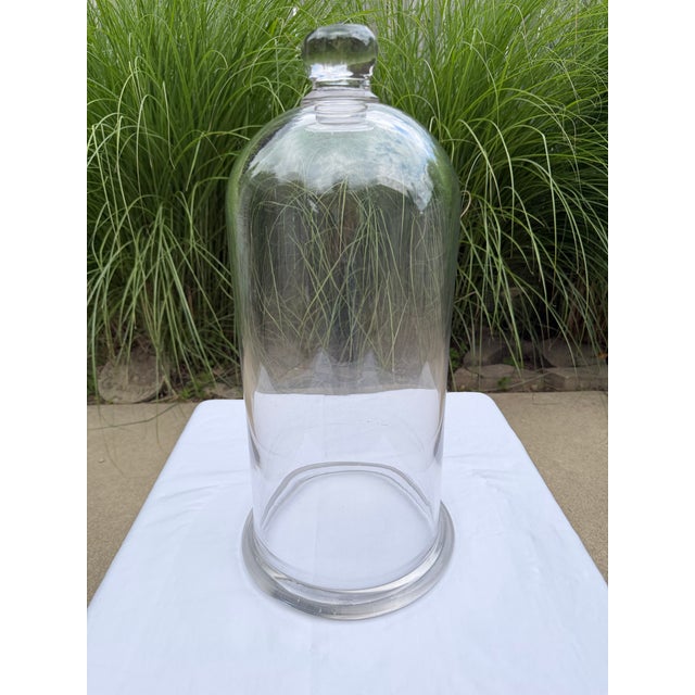 Early 20th Century Early 20th Century Glass Cloche For Sale - Image 5 of 8