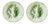 French 1850s Majolica Asparagus Plate with Scalloped Edge, Two Available For Sale