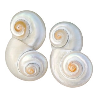 Twists and Turns Earrings, a Pair For Sale