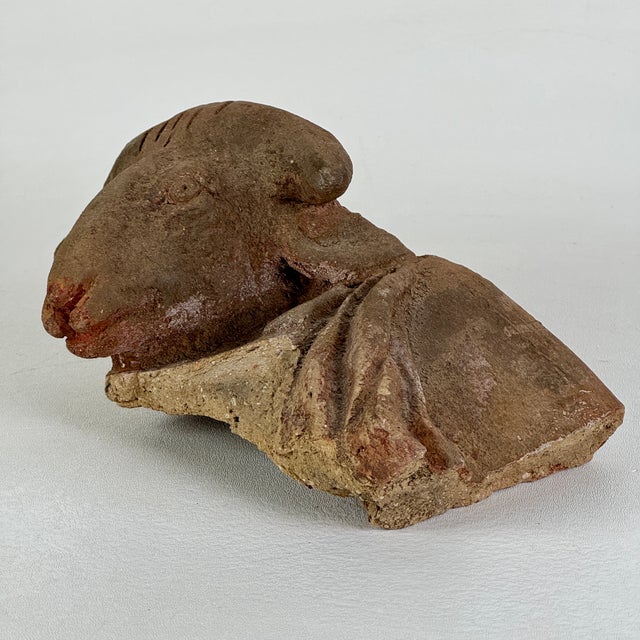 Vintage Broken Off & Salvaged Terracotta Head of a Ram, Sculptural Decor For Sale - Image 4 of 9