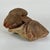 Vintage Broken Off & Salvaged Terracotta Head of a Ram, Sculptural Decor For Sale - Image 4 of 9