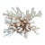 Natural White Coral Reef Specimen For Sale