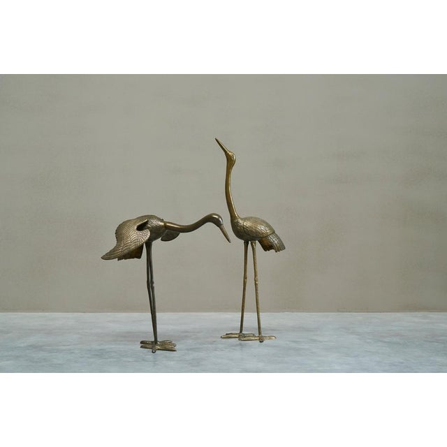 A striking pair of semi life-size cranes in patinated sand cast brass. Europe, 1960s. A beautiful pair. Each captured in a...