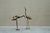 A striking pair of semi life-size cranes in patinated sand cast brass. Europe, 1960s. A beautiful pair. Each captured in a...