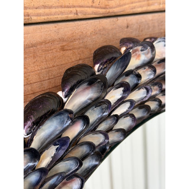 2020s Handmade Coastal Mussel & Cowrie Shell Layered Round Mirror For Sale - Image 5 of 12