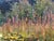 1970s 1970s Oil Painting Tropics Constantinople Adolf Markovich For Sale - Image 5 of 8