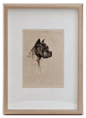 Copperplate Engraving with an Amstaff Dog, 1890s, Framed