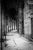 Paul Cooklin, Theatre of Marcellus, Rome, Edition of 50 For Sale - Image 7 of 7