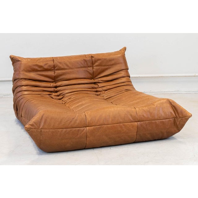 Togo Chaise Lounge in Pine Leather by Michel Ducaroy for Ligne Roset, 1974 For Sale - Image 11 of 18