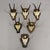 Rustic European Vintage Set of Six Chamois Trophies on Shaped Plaques, Germany Ca. 1960s For Sale - Image 3 of 7