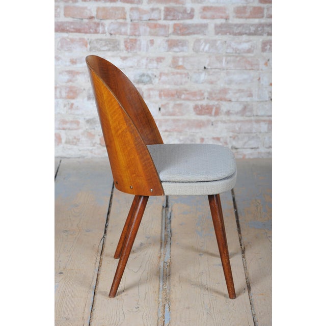1950s Mid-Century Chairs in Walnut attributed to Antonín Šuman, Czech, 1950s, Set of 4 For Sale - Image 5 of 18