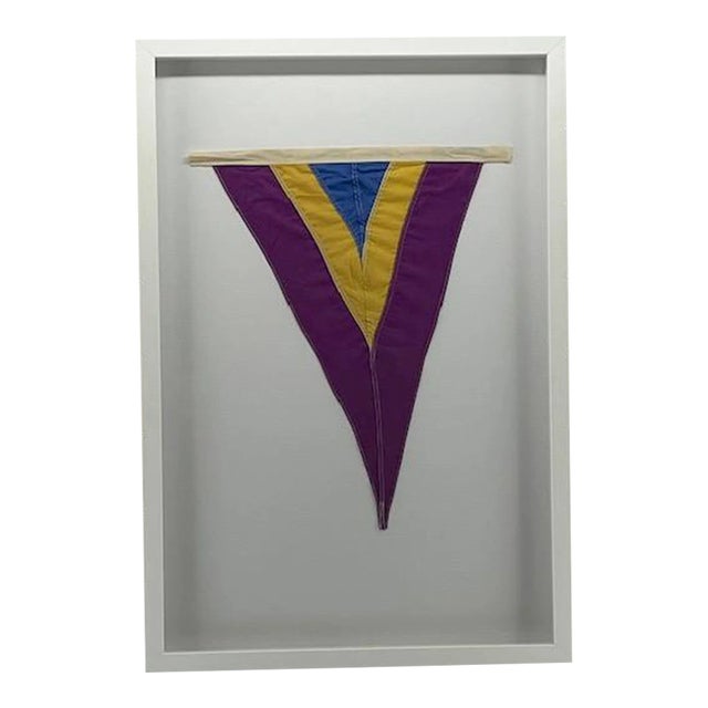 Framed Blue/Yellow/Purple Pennant For Sale