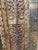 1920s Antique Indian Teak Wood Door Panel With Hand-Carved Tree of Life For Sale - Image 5 of 9
