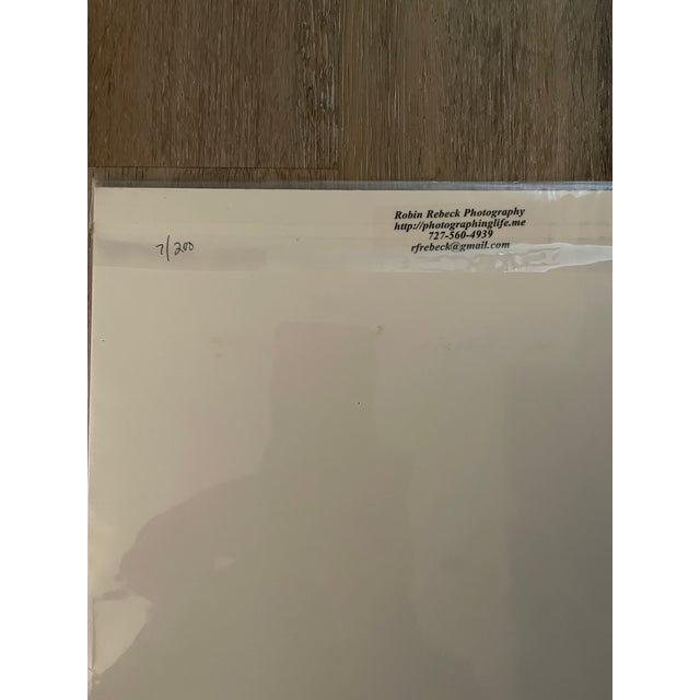 Contemporary Lot of 3 New Matted B&w Original Photographs Signed by Robin Rebeck For Sale - Image 16 of 16